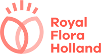 flora holland
